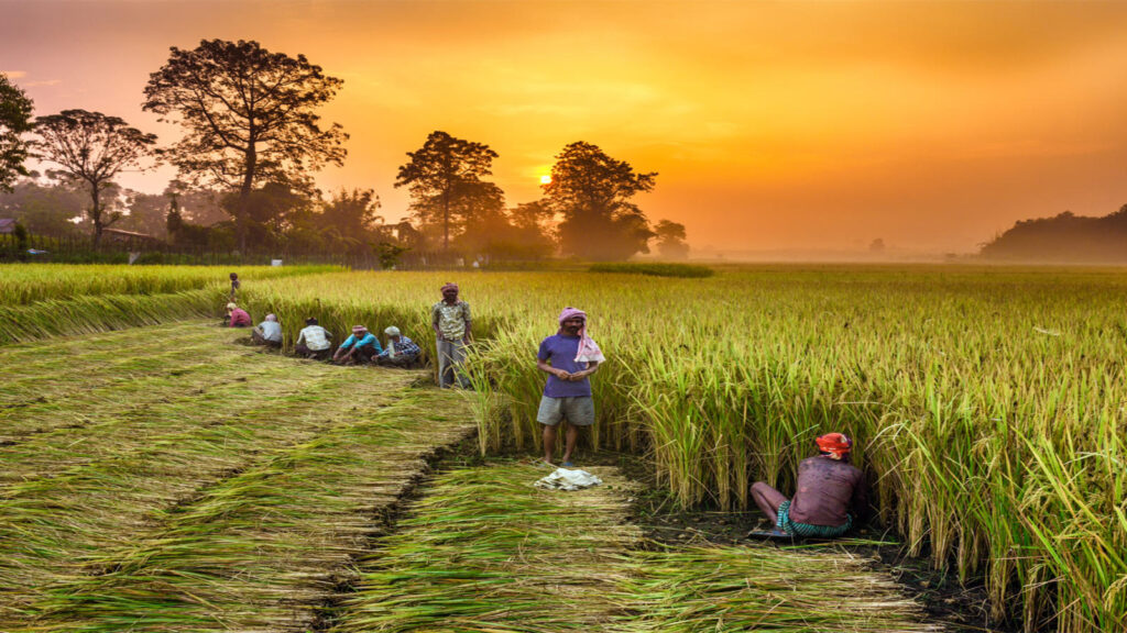 farmers scheme