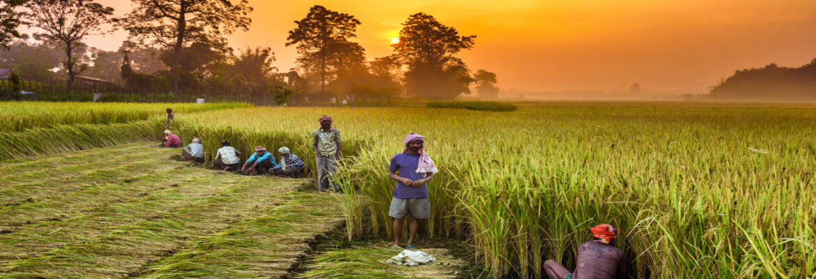 farmers scheme
