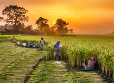 farmers scheme